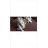 STATUETTE ANGE