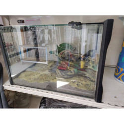 VIVARIUM AVEC DÉCO 