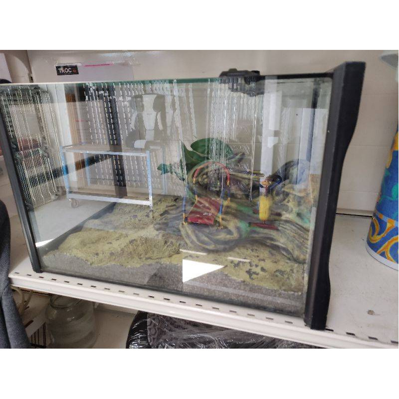 VIVARIUM AVEC DÉCO 