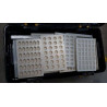 MOULE POLYCARBONATE CHOCOLAT