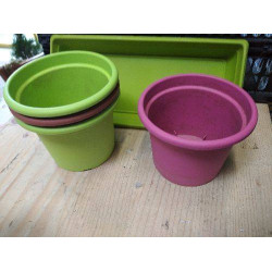 POT