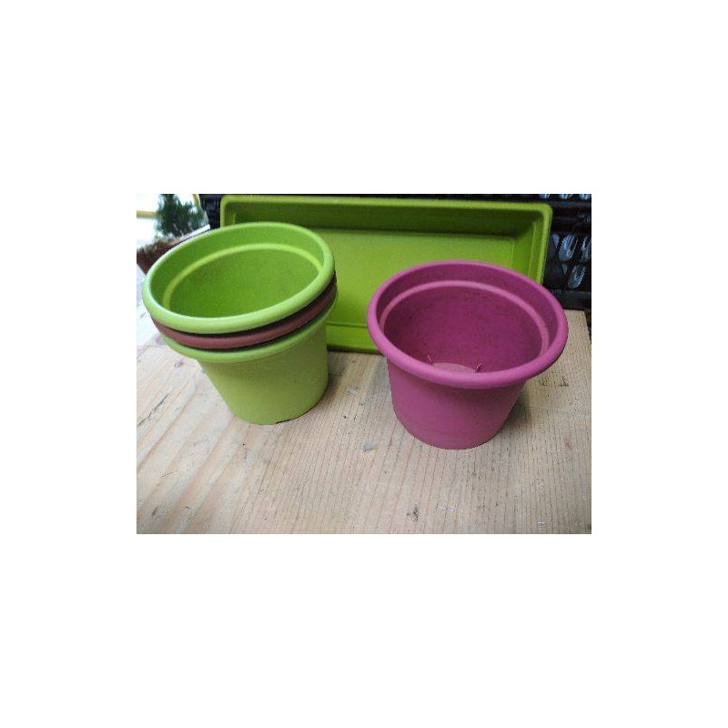 POT