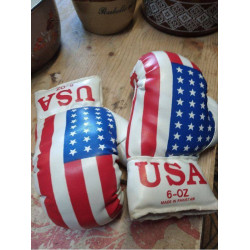 GANTS DE BOXE USA 