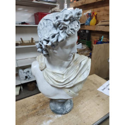 BUSTE APOLLLON